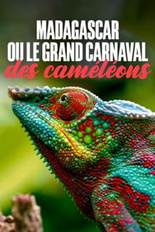 Madagaskar oder der große Karneval der Chamäleons