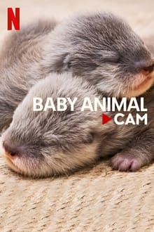 Životinjske bebe pred kamerama