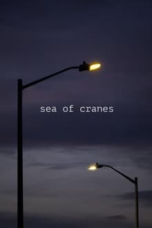 Sea of Cranes
