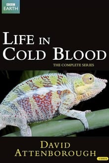 Life in Cold Blood