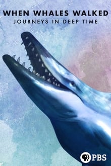 鲸鱼行走的时代：深时之旅
