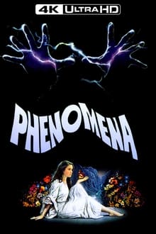 Phenomena