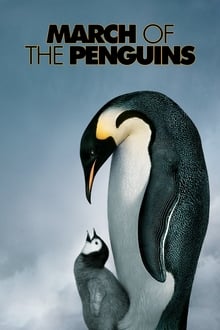 企鵝寶貝：南極的旅程
