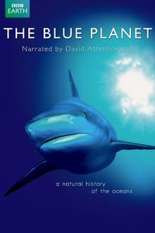 Modrá planeta - Historie oceánů