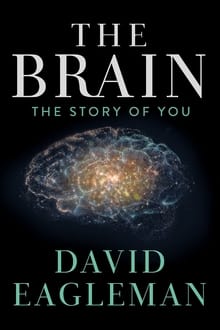 El cerebro con David Eagleman