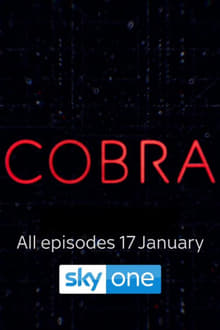 COBRA - A válságstáb