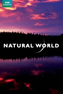Mundo Natural