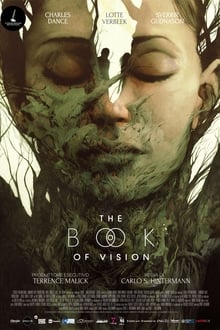 Il libro delle visioni