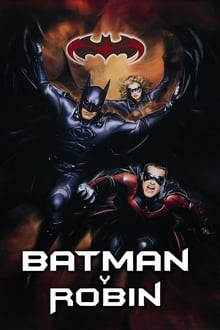 蝙蝠侠与罗宾
