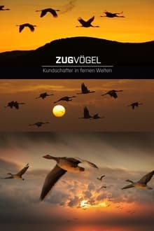 Les oiseaux migrateurs - Les messagers du monde