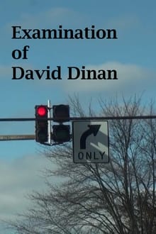 Examination of David Dinan