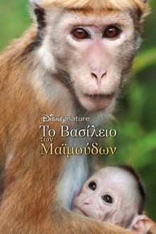 Το Βασίλειο των Μαϊμούδων