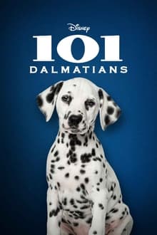 101 dalmatinec