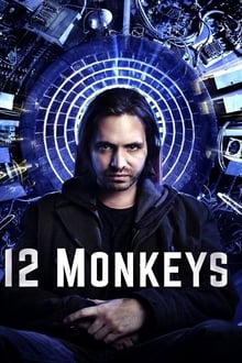 12 мајмуна
