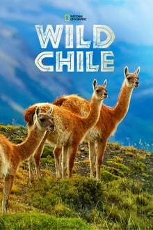 Wildes Chile