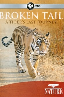 Broken Tail: A Tiger's Last Journey