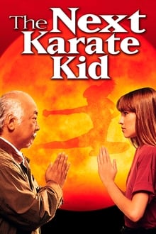Un alt Karate Kid