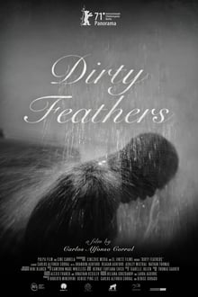 Dirty Feathers