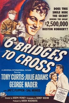 6 Bridges to Cross