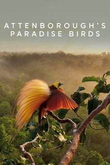 Aves do Paraíso de Attenborough