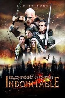 The Dragonphoenix Chronicles
