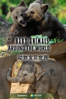 全球动物宝宝