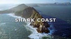 Shark Coast