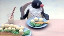 Pingu is Introduced