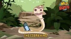 The Cobra King