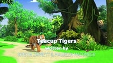 Teacup Tigers