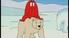 Serverný pól - Polárny medveď