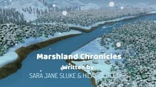 Marshland Chronicles