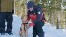 Avalanche Rescue Dogs & The Beagle Brigade