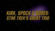Kirk, Spock & Bones - Star Trek's Great Trio