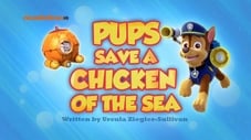 I cuccioli salvano una gallina di mare