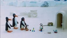 Pingu et les étrangers