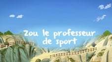 Zou the Sports Coach