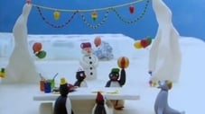 Il compleanno di Pingu
