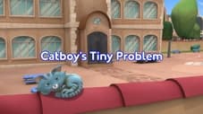 Catboy's Tiny Problem