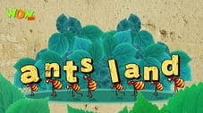 Ants Land