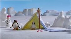 Pingu telttailee