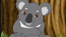 Gros câlin pour "Joey" le koala