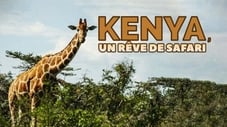 Kenya, un rêve de safari
