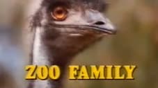 Zoo Family