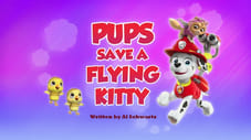 Pups Save a Flying Kitty