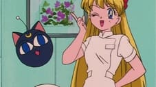 Sailor Venus rycker ut
