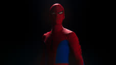 Der japanische Spider-Man