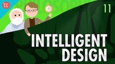 Intelligent Design
