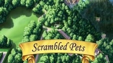 Scrambled Pets