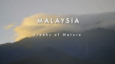 Малайзия: причуды природы
